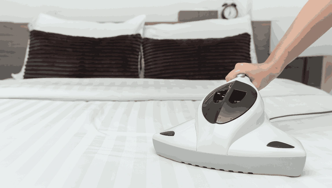Professional Mattress Cleaning Canterbury